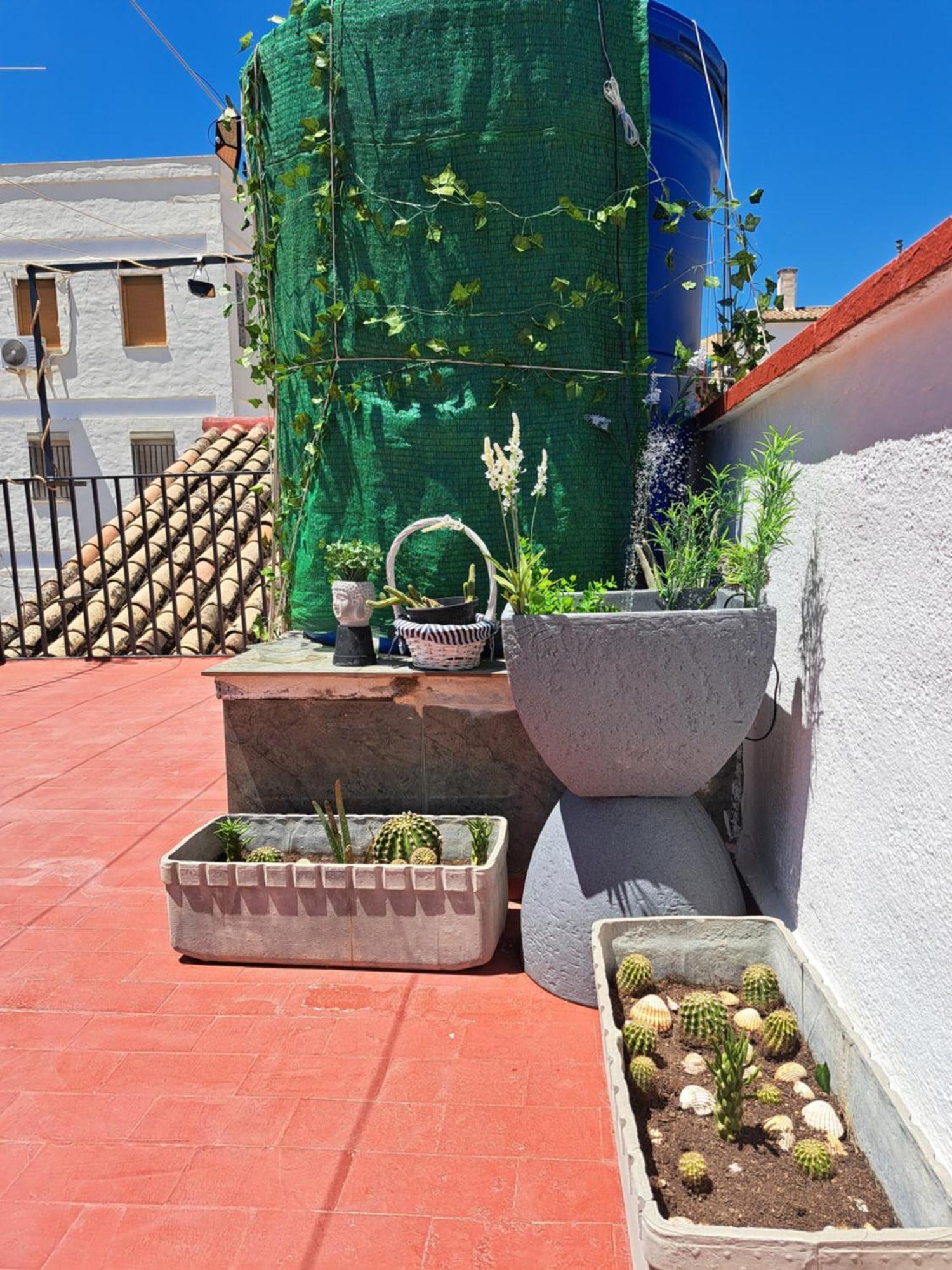 شقة Casa Paloma خاين المظهر الخارجي الصورة